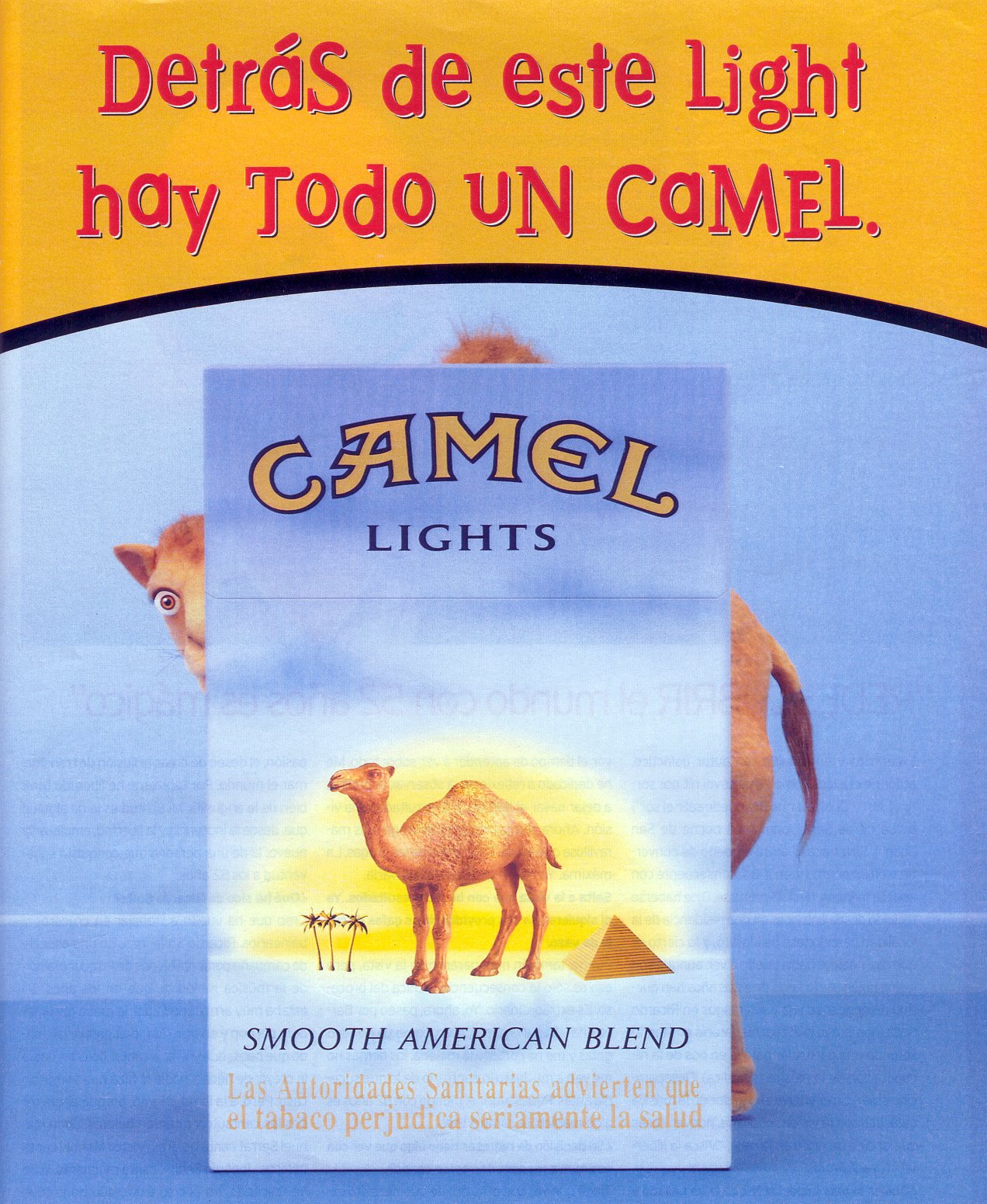 Camel_16