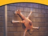 Camel_01