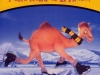 Camel_02