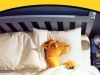 Camel_08