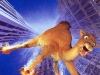 Camel_13