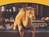 Camel_14