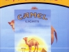 Camel_16
