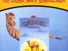 Camel_25