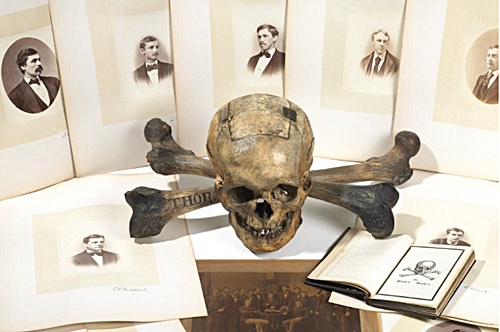 Calavera de Skull and bones